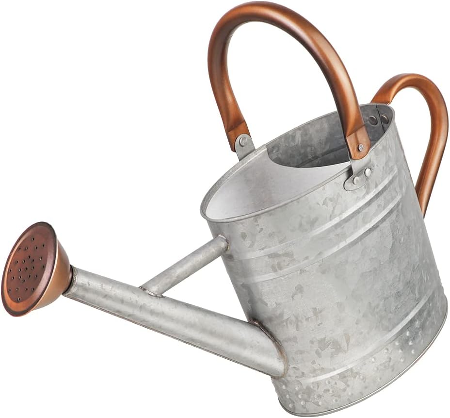 1 Gallon Metal Watering Can with Removable Spout, Nice Galvanized Steel Water Can with Embossed Design for Indoor and Outdoor Plants